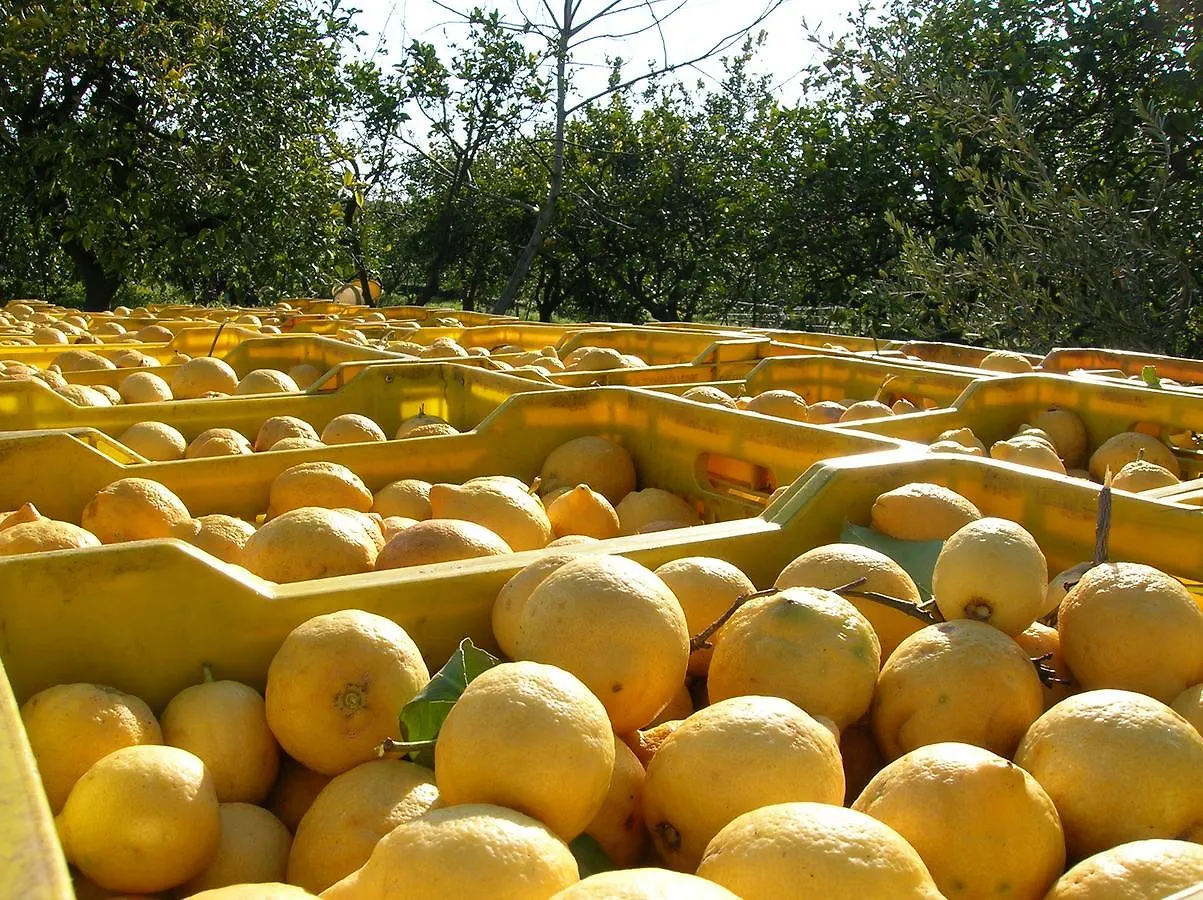 Agriturismo San Leonardello